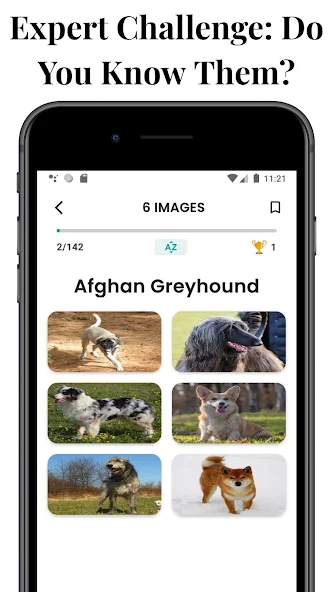 DogsQuiz screenshot 2