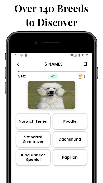 DogsQuiz screenshot 5