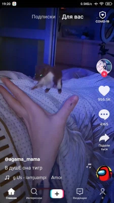 TikTok screenshot 3