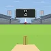 Cricket Battle Champion 2025 Screenshot 1