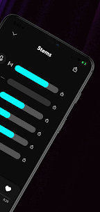 Splitteroo screenshot 2