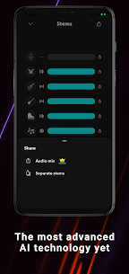 Splitteroo screenshot 4