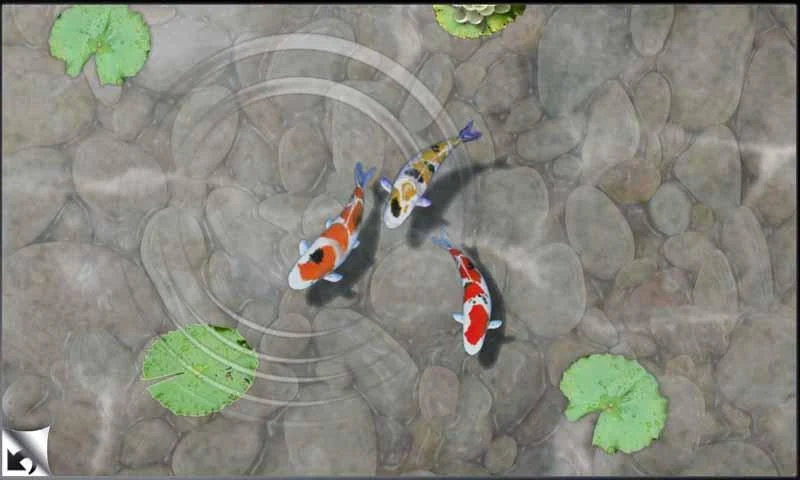 Smart Baby Games screenshot 5