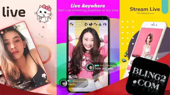 BLING2 screenshot 1