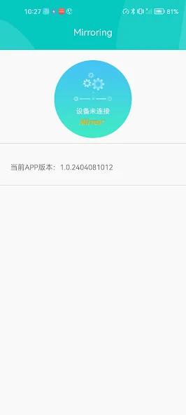 Mirroring screenshot 1