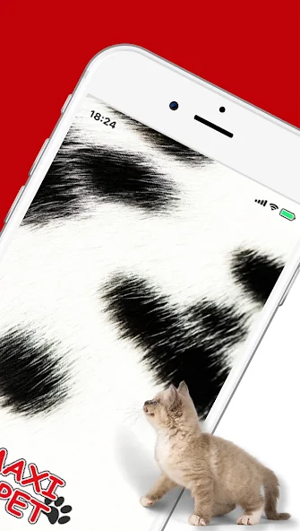 Maxi Pet screenshot 2