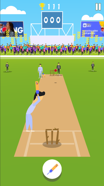 Cricket Summer Game