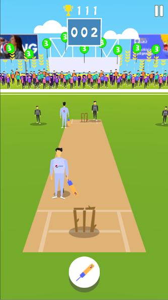 Cricket Summer Game screenshot 3