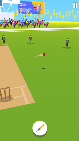 Cricket Summer Game screenshot 4