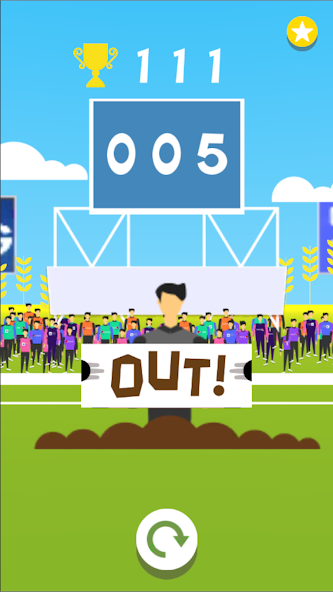 Cricket Summer Game screenshot 5