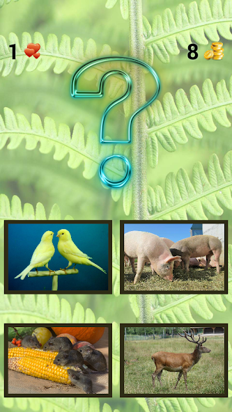 Animals screenshot 2