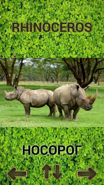 Animals screenshot 3