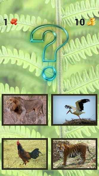Animals screenshot 4