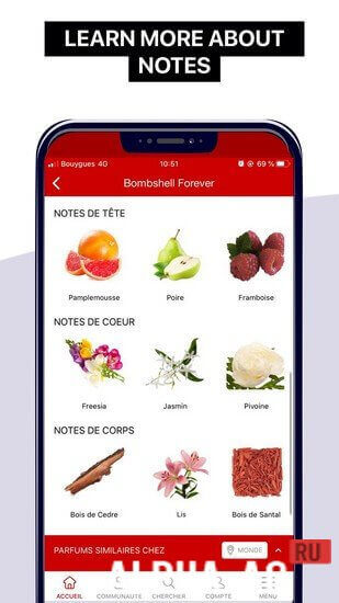 PERFUMIST Perfumes Advisor screenshot 5