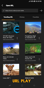 MXVR Player - 360° VR Screenshot 4