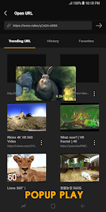 MXVR Player - 360° VR Screenshot 5