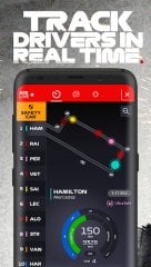 Formula 1 screenshot 3