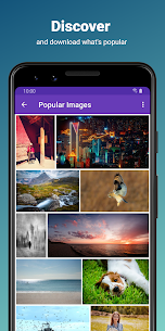 500px Downloader screenshot 3