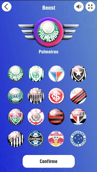 Brazilian League screenshot 3