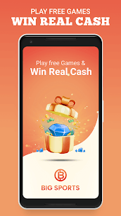 Big Sports screenshot 1