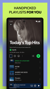 Spotify X screenshot 3