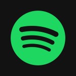 Spotify X screenshot 8