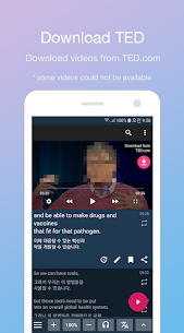 LingoTube screenshot 3