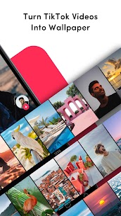 TikTok Live Wallpaper screenshot 2