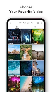 Screenshot 4 of TikTok Live Wallpaper