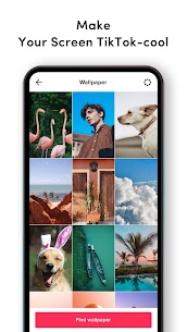 Screenshot 5 of TikTok Live Wallpaper