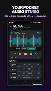 Stemsly AI Audio Editor screenshot 3