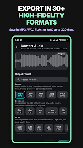 Stemsly AI Audio Editor screenshot 6