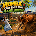 Humba Cow Simulator Bangladesh gameplay screenshot 1