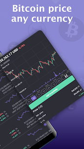 Bitcoin Price - Cryptocurrency Widget screenshot 2
