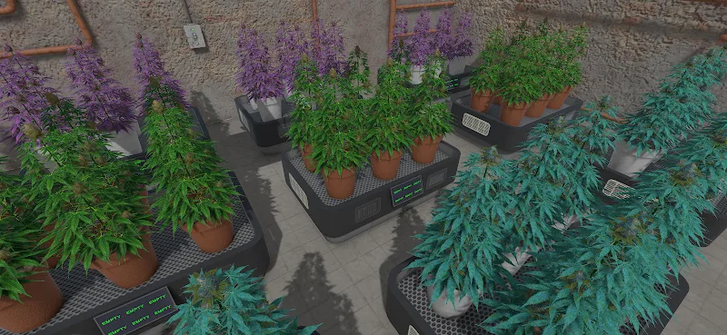 Weed Store Simulator screenshot 7