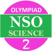 NSO 2 Olympiad