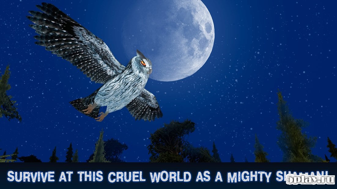 Animals Spirit Island Survival