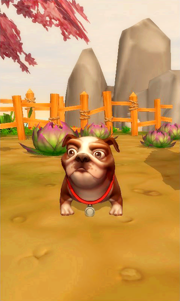 My Talking Dogs screenshot 1