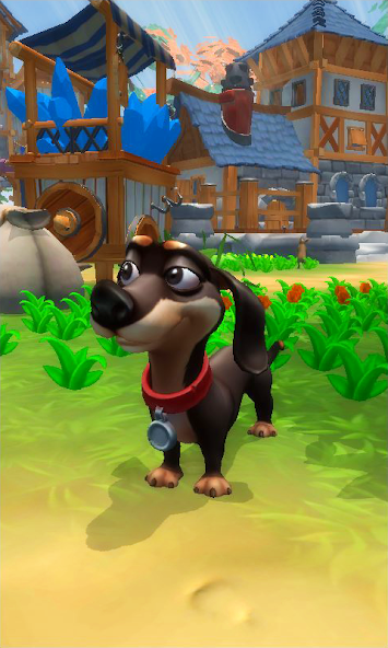 My Talking Dogs screenshot 3