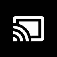 Cast Widget Pro