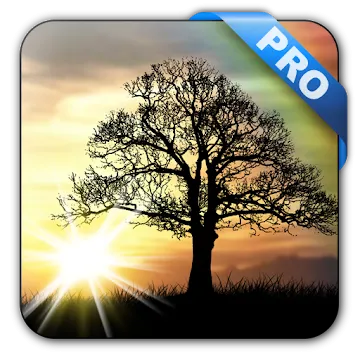 Sun Rise Pro Live Wallpaper screenshot 1