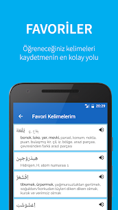 Arabic Turkish Dictionary screenshot 4