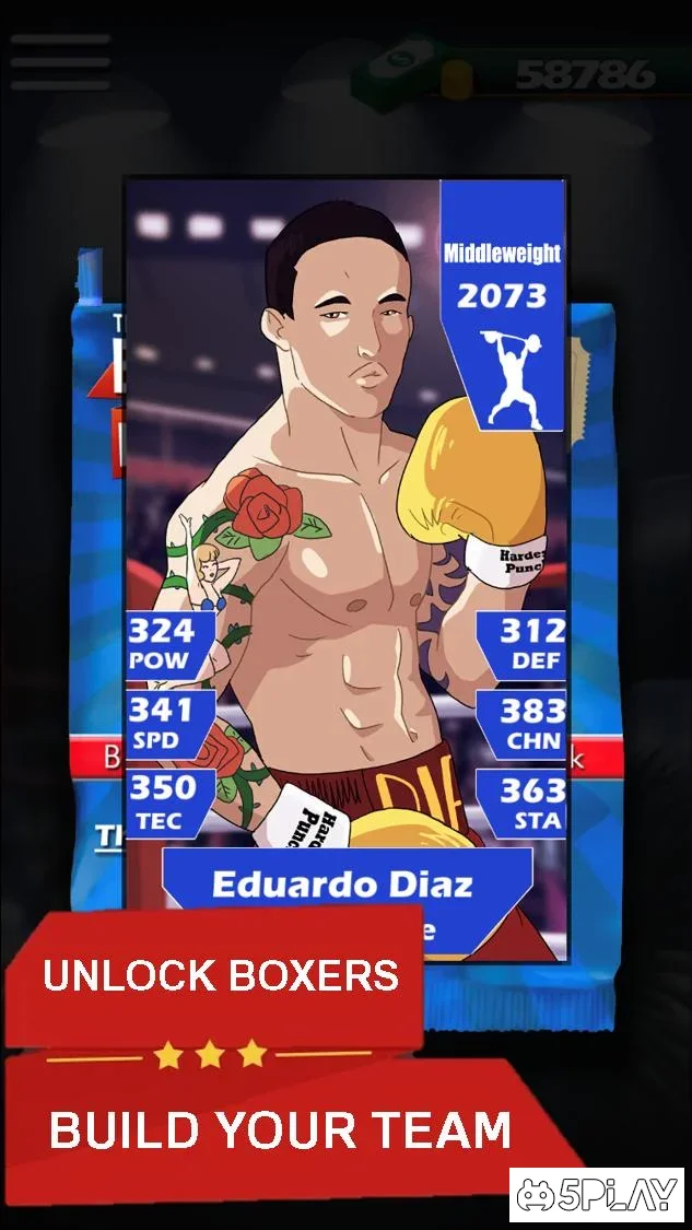 Boxing Promoter