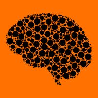 LoveNeuro: Student-Led Neuroscience App
