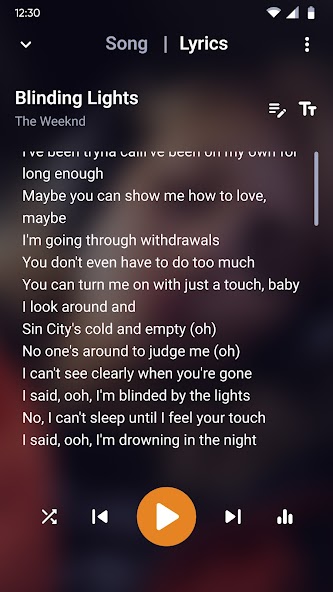 Music Player screenshot 4