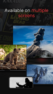 TVPlayer screenshot 5