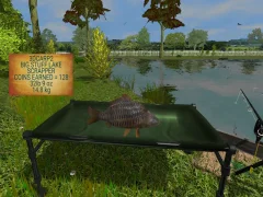 3DCARP2 screenshot 5