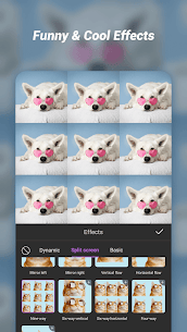 iCut Video Editor Screenshot 6