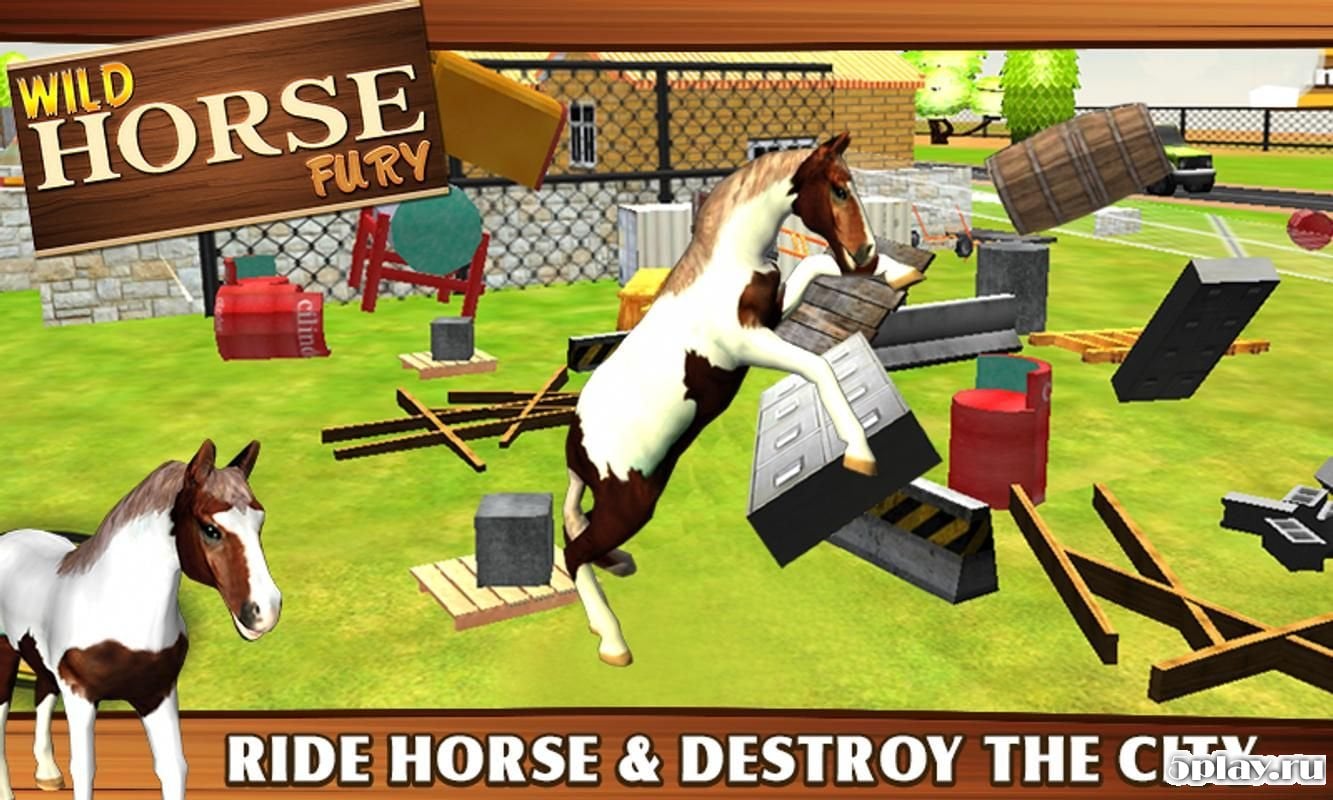 Wild Horse Fury