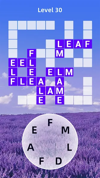 Vita Crossword screenshot 5